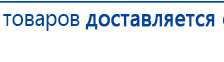 СКЭНАР-1-НТ (исполнение 01 VO) Скэнар Мастер купить в Лыткарине, Аппараты Скэнар купить в Лыткарине, Дэнас официальный сайт denasdoctor.ru